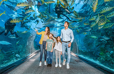Dubai Aquarium Underwater Zoo