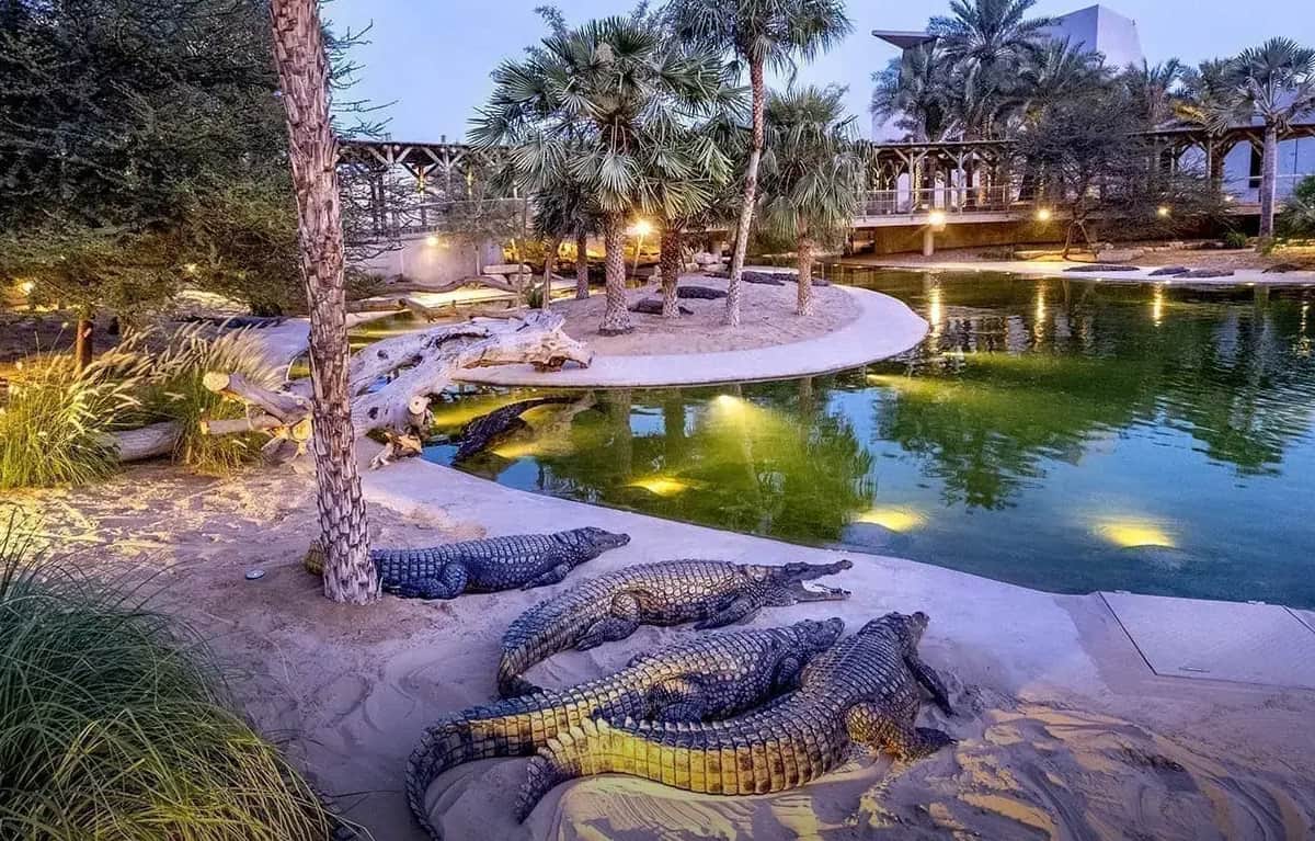 Dubai Crocodile park