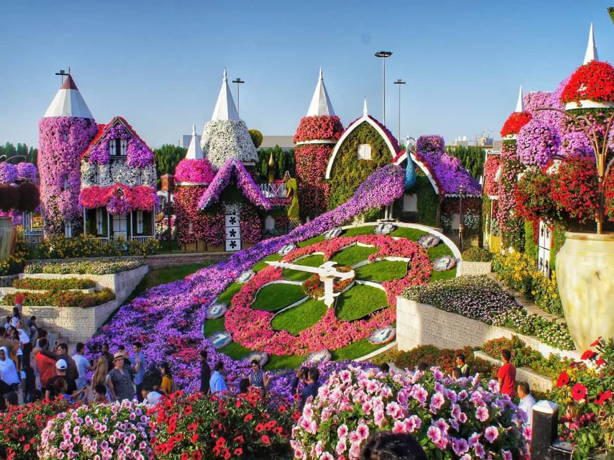 Dubai Butterfly Garden