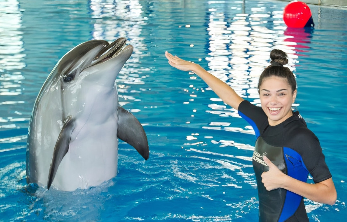 Dubai Dolphinarium Dolphin VIP Show